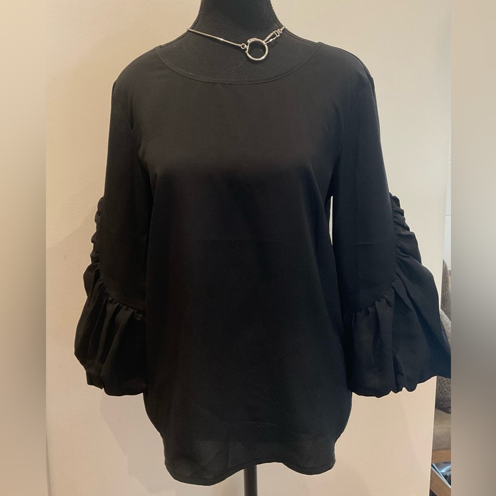 ***LOB ***Elegant Semi Sheer Blouse with Statement Sleeves .